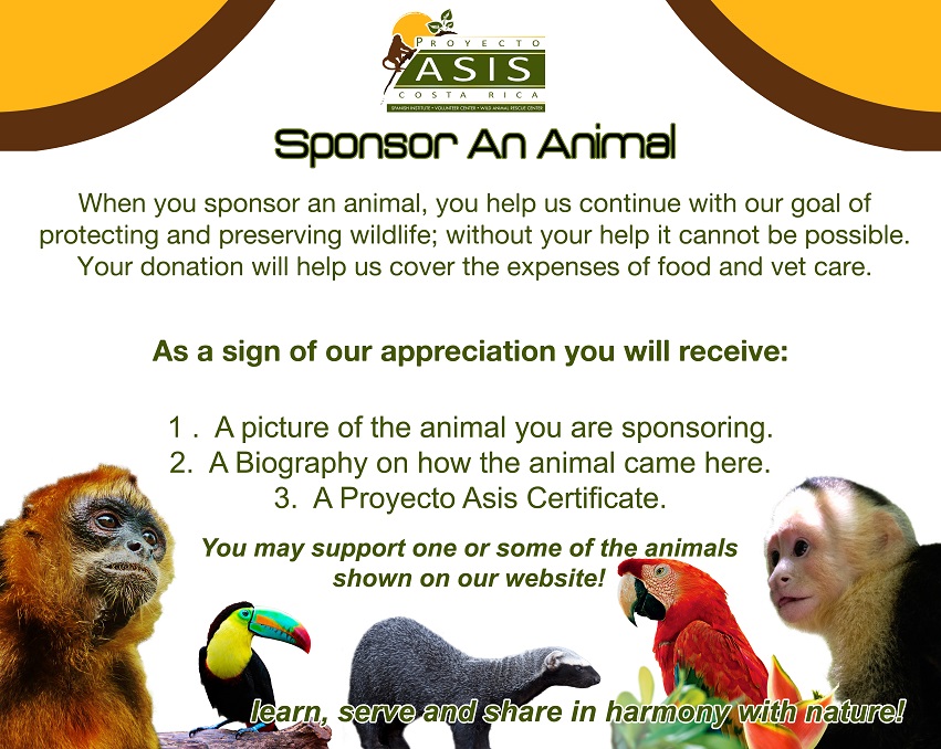 Sponsor a wild animal